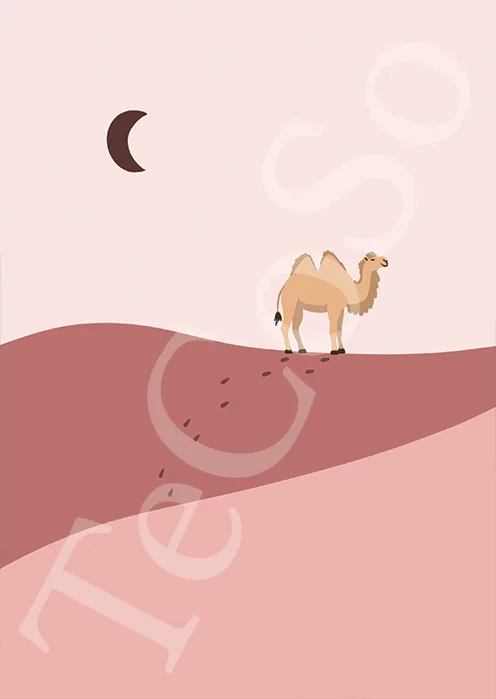 Illustration « Chameau »