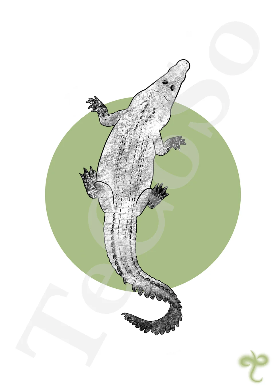 Illustration « crocodile »