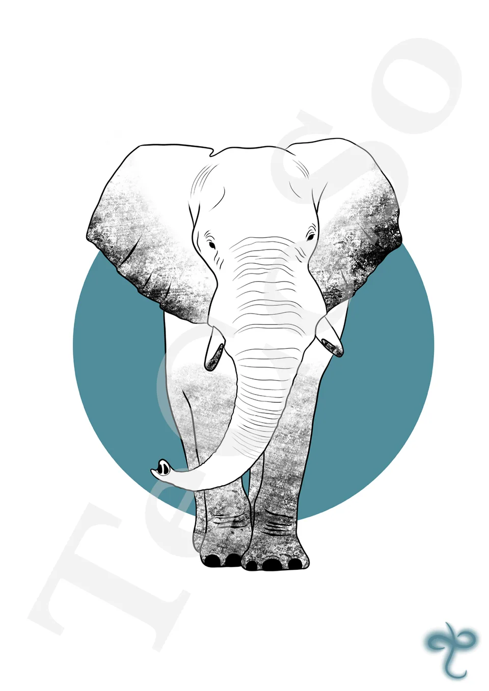 Illustration « Eléphant »