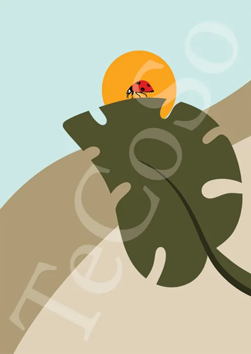 Illustration « Eveil »