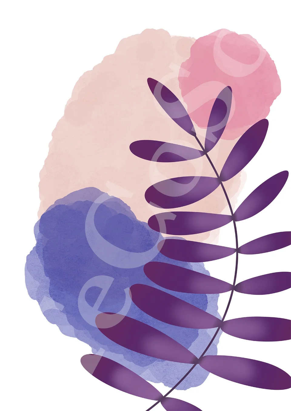 Illustration « Finesse et plante »