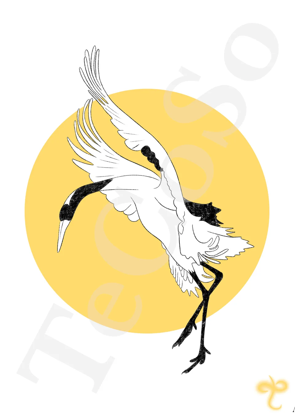 Illustration « Grue cendrée »