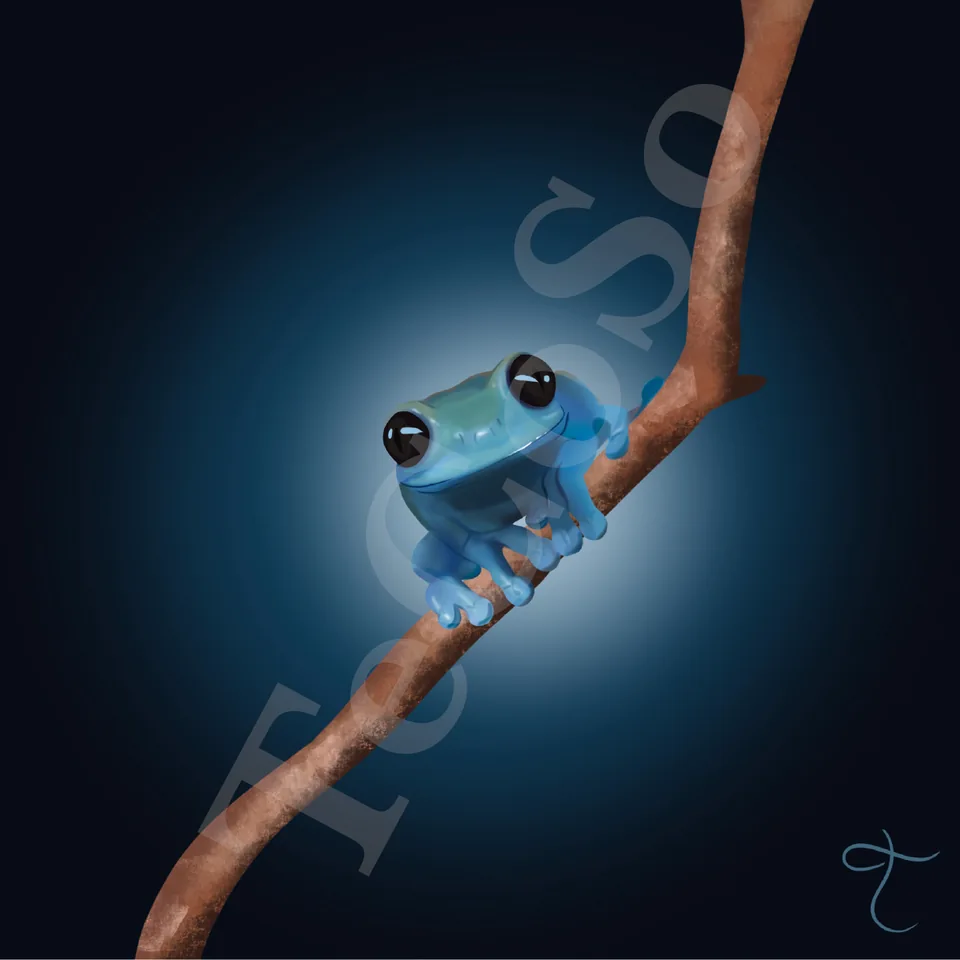Illustration « Balançoire Bali »