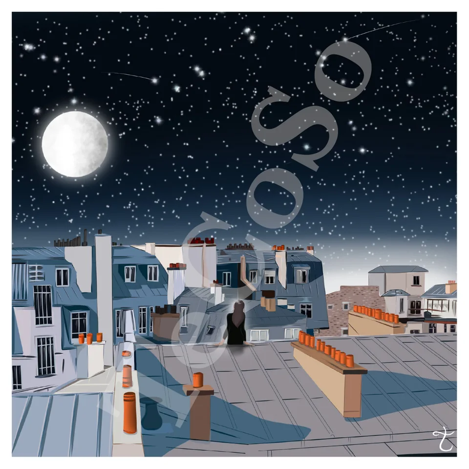 Illustration « Les toits de Paris »