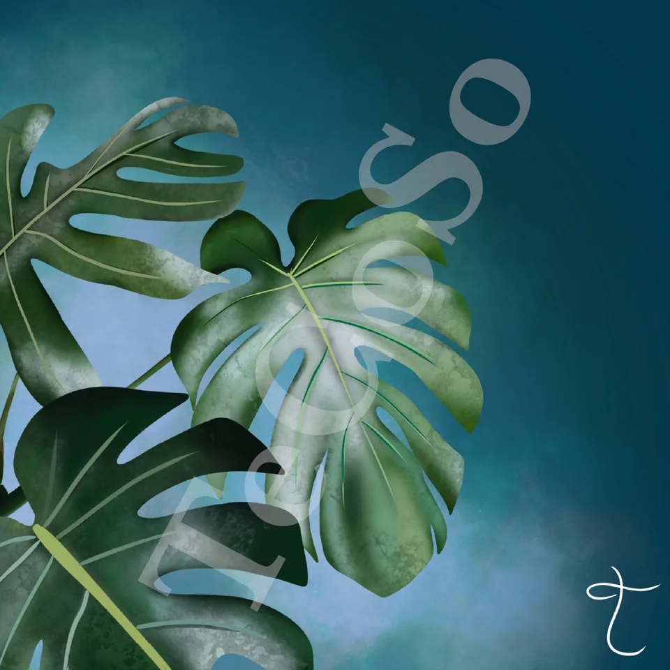 Illustration « Monstera »