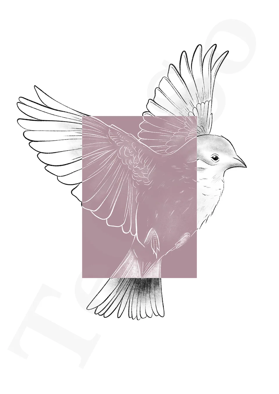 Illustration « Oiseau rose »