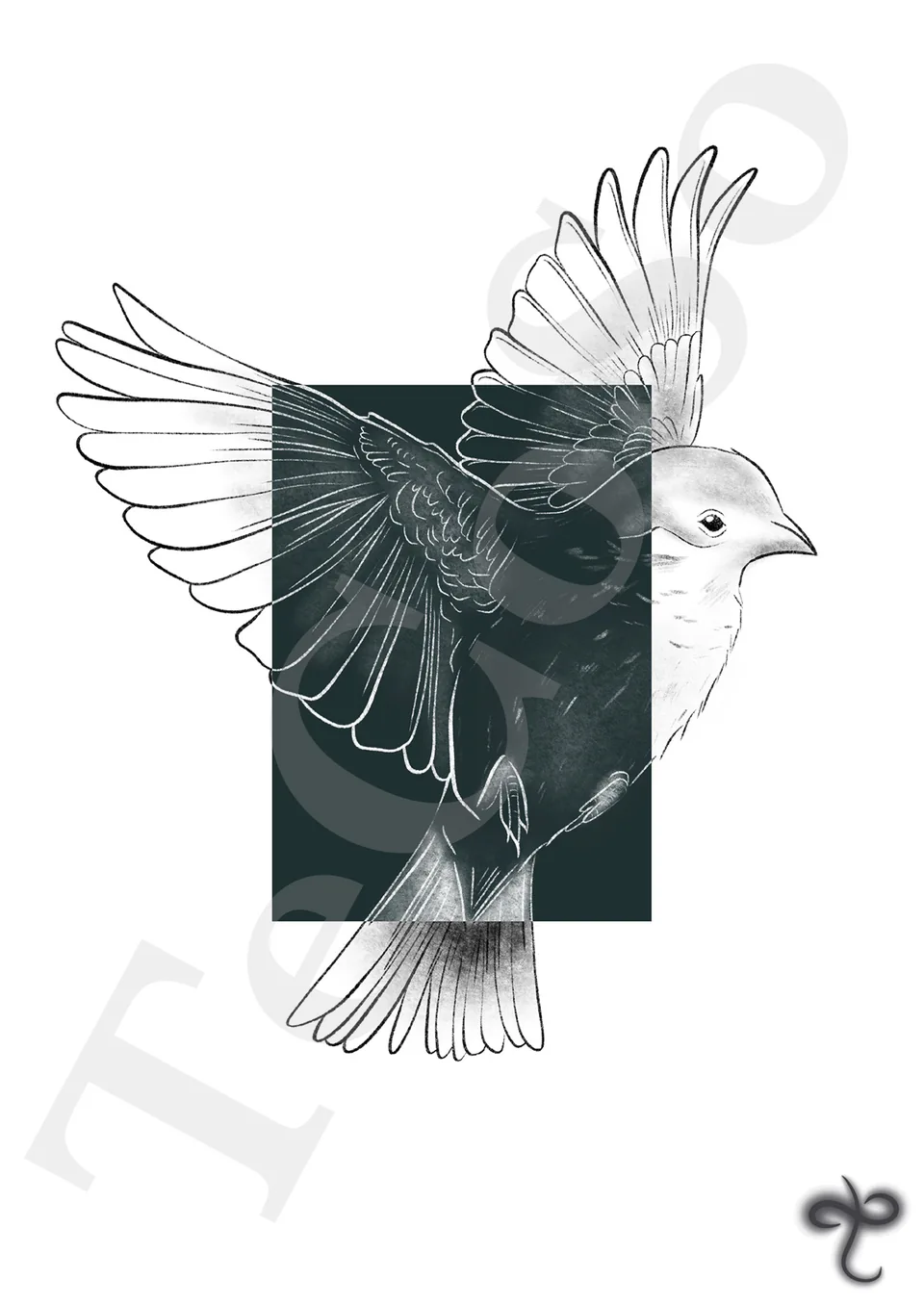 Illustration « Oiseau »