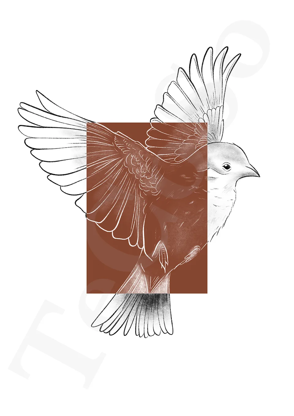 Illustration « Oiseau »