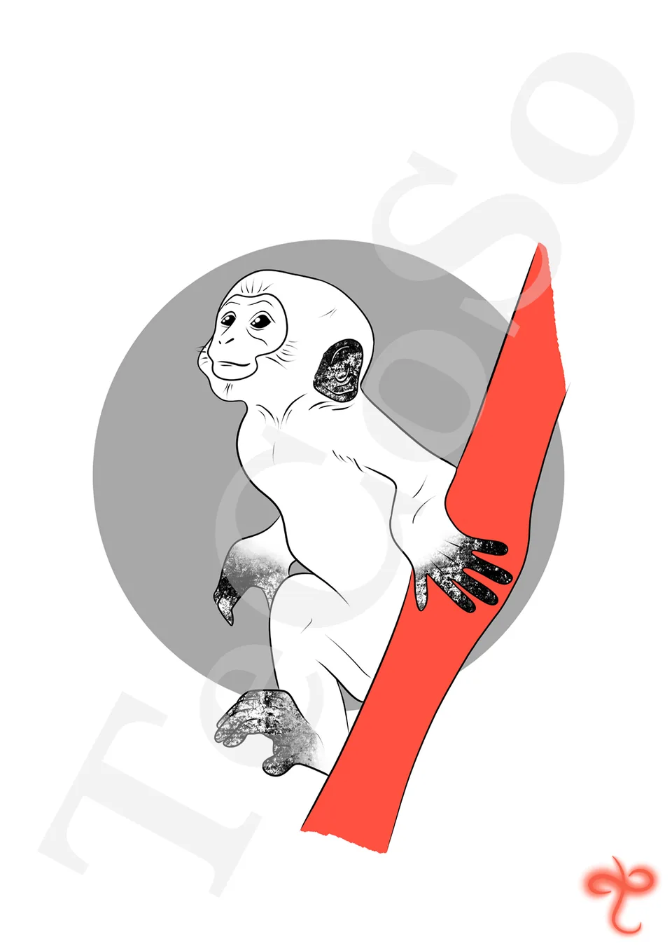 Illustration « Petit singe »