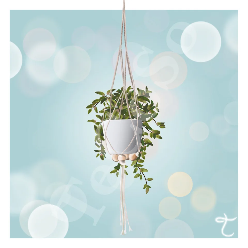 Illustration « Suspension macramé »