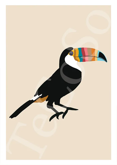 Illustration « Toucan »
